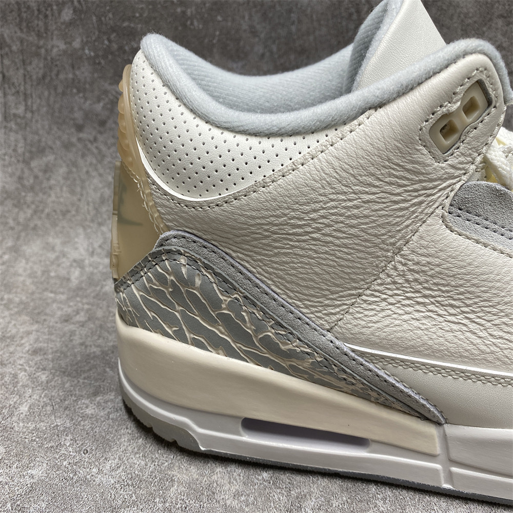 AIR JORDAN 3 RETRO SE 